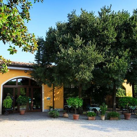 Agriturismo La Montina Ponti sul Mincio Exterior photo